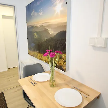 公寓 Gemuetliches Schwarzwald-apartment Im Ruhigen Untergeschoss Eines Hauses 登茨林根