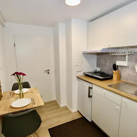 Gemuetliches Schwarzwald-apartment Im Ruhigen Untergeschoss Eines Hauses 登茨林根